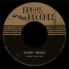Short Break