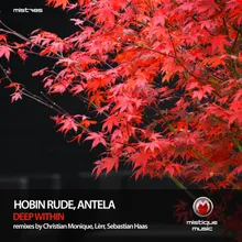 Deep Within Sebastian Haas Remix