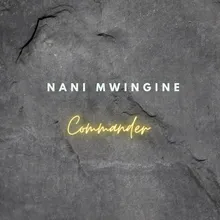 Nani Mwingine