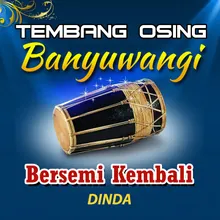 Bersemi Kembali