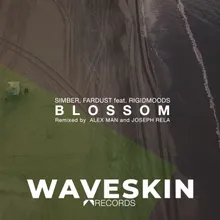 Blossom Alex Man Remix
