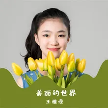 美丽的世界