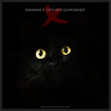 Cats Hate Schrodinger Radio Edit