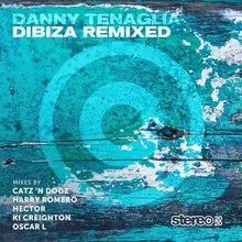 Dibiza Catz 'n dogz Remix