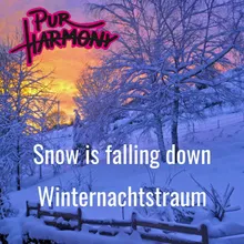 Winternachtstraum