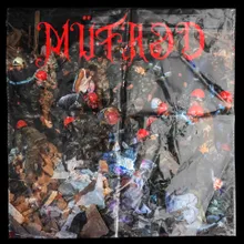 Müfrəd