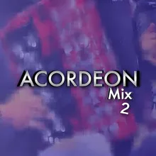 Acordeon em Festa