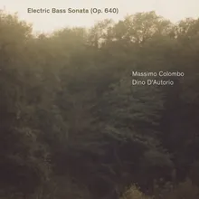 Electric Bass Sonata, Op. 640: II. Lentamente