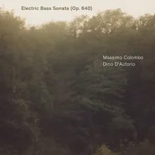 Electric Bass Sonata, Op. 640: III. Rapido