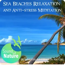 Sea Beaches Relaxation and Anti-stress Meditation 90 minutes immersed in nature