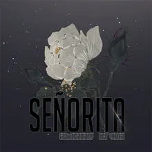 Senorita