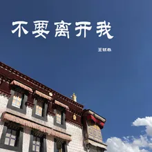 不要离开我 伴奏