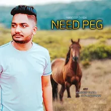 Need Peg