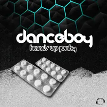 Hands Up Junky (Radio Edit)