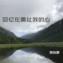 回忆在撕扯我的心