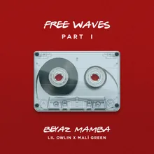 Beyaz Mamba Free Waves, Pt. 1