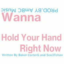 Wanna Hold Your Hand Right Now Vocal Off