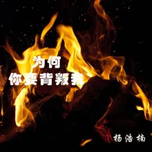 为何你要背叛我 DJ版