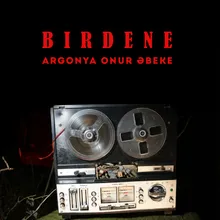 Birdene