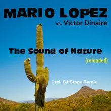 The Sound of Nature (Cj Stone Remix)