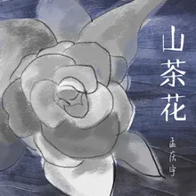 山茶花 伴奏