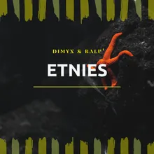 Etnies Extended Mix