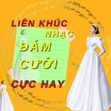 Liên khúc nhạc trữ tình hay nhất năm 2020