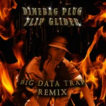 Big Data Trap Flip Glider Remix