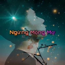 Ngừng Mộng Mơ