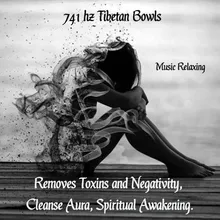 Musica 741 Hz Tibetan Bowls, Removes Toxins and Negativity, Cleanse Aura, Spiritual Awakening,