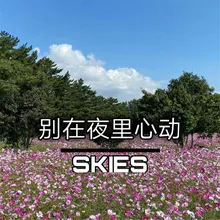 Sunshine Skies Remix