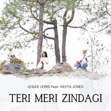 Teri Meri Zindagi