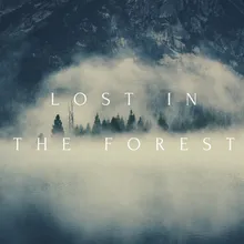 Lost in the forest