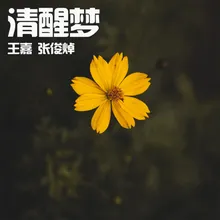 清醒梦