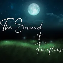 The Sound of Fireflies