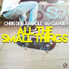 All the Small Things Extended Mix