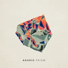 Prism