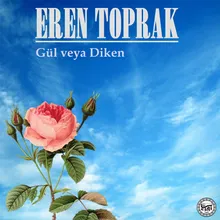 Gül veya Diken