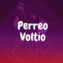 Perreo Voltio