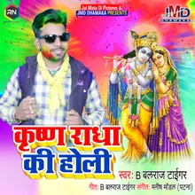 Krishna Radha Ki Holi