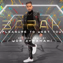 Pleasure to Meet You Mor Avrahami Remix