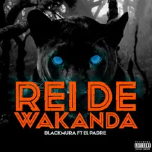 Rei de Wakanda