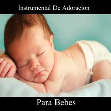 Bebe Felices