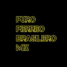 Puro Perreo Brasilero Mix