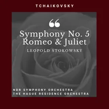 Symphony No. 5 In E Minor : II. Andantino Cantabile