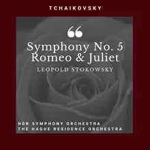 Symphony No. 5 In E Minor : III. Valse (Allegro Moderato)