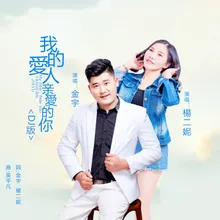 我的爱人亲爱的你 DJ版