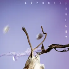 Lemonade Bullet