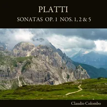 Sonata No. 1 in D Major, Op. 1: I. Adagio