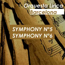 Symphony N.5 In C Minor Op67 Allegro